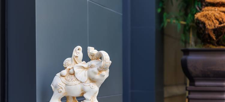 如家素柏·云酒店(丽水中广未来城店)图片