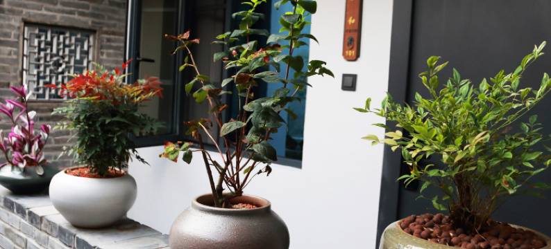 立羽·府城39号民宿(临海紫阳街店)图片