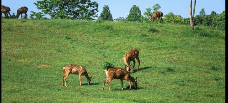 听城影院公寓(光剧院店)图片