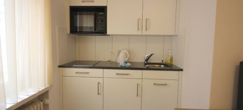 希尔菲德瑞士之星公寓酒店(Swiss Star Zurich Sihlfeld - Self Check-IN)图片