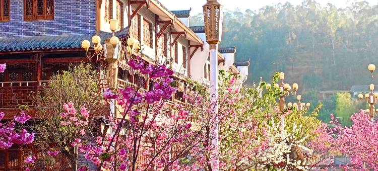 会理在水宜芳酒店图片