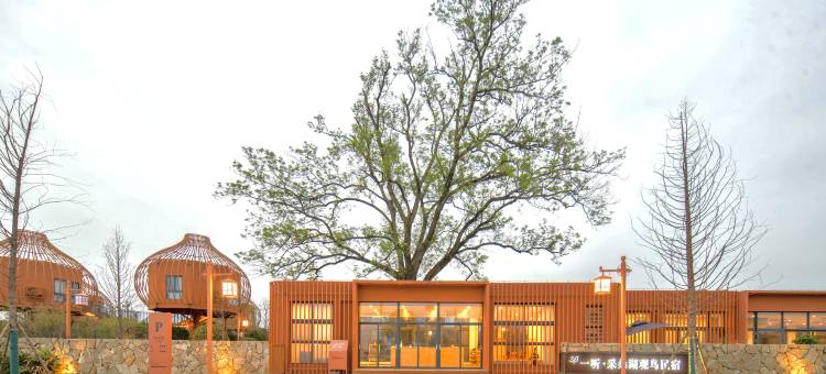 一听·采桑湖观鸟民宿图片