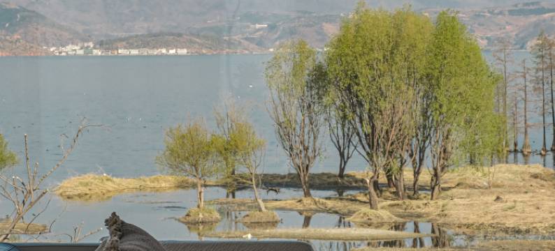 山海浠璟•RetroStyle Villa•花园度假民宿(大理洱海龙龛码头店)图片