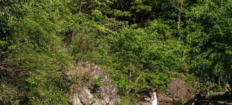 逸山海·觅麓溪源山野溯溪美墅(宣城店)图片