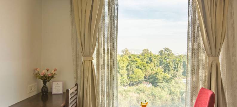 乌代布尔维斯塔大中央(Vesta Grand Central Udaipur)图片