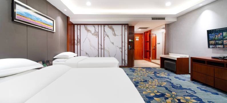 昌吉天悦酒店(新疆大剧院店)图片