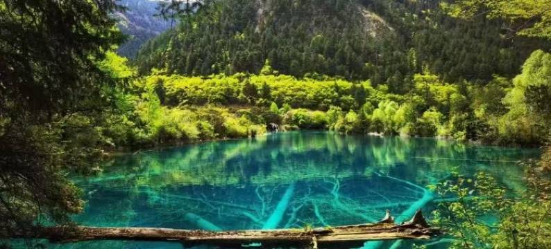 九寨沟云海居民宿(九寨沟景区店)图片