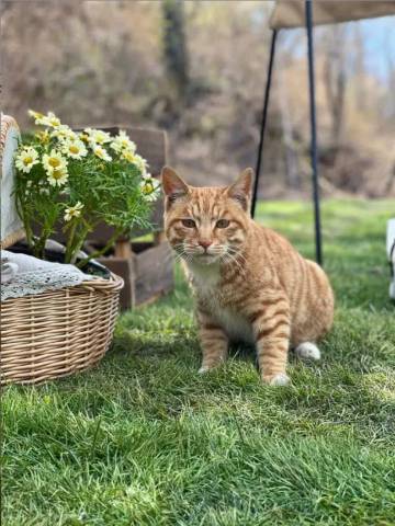 蓝韵海景公寓(湛江霞山区荣盛广场店)图片