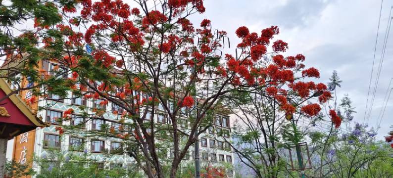 7天酒店(玉溪新平戛洒镇店)图片