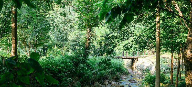 安吉柏翠姚良度假酒店图片