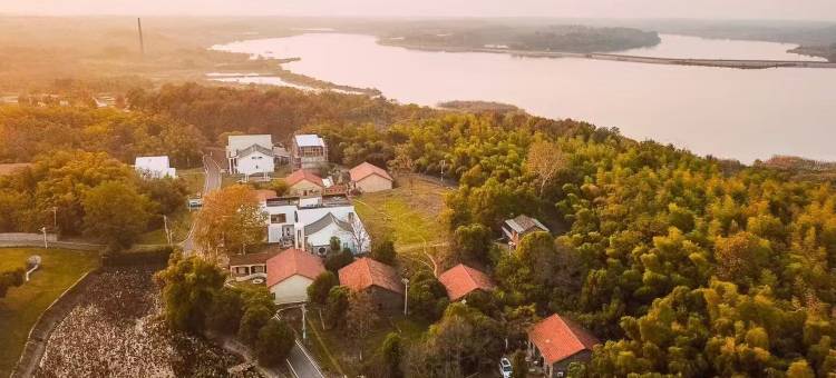 半岛计划SoulH图片