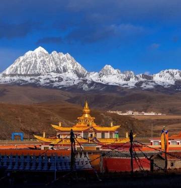 康定塔公菩提亚庄园(塔公草原店)图片