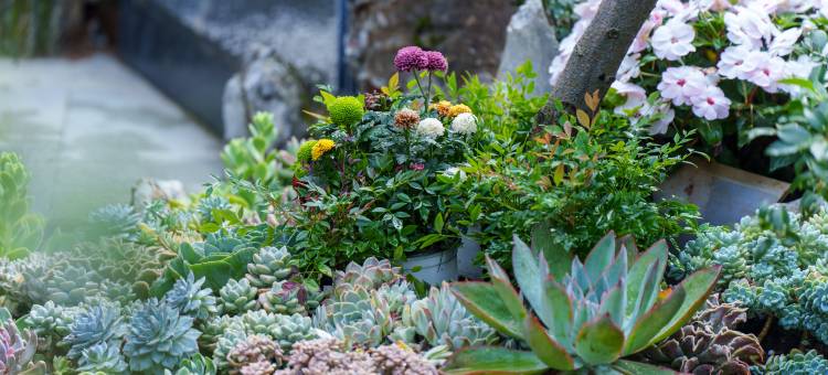 隐山梵野·‌Serenity‌设计师美宿(沙溪古镇店)图片