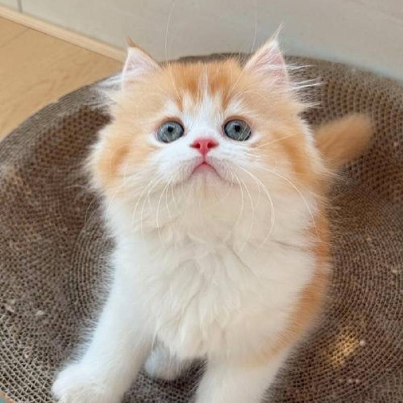 天眼云爵民宿(中国天眼科普基地店)图片