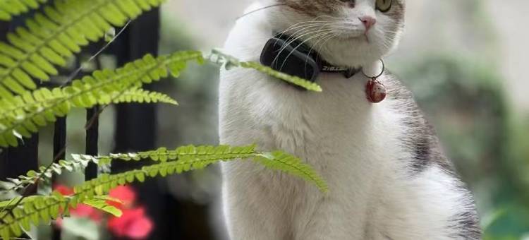 五指山艺宿里主题酒店图片