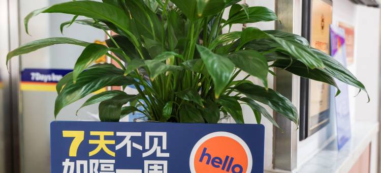 7天连锁酒店(大同火车站店)图片