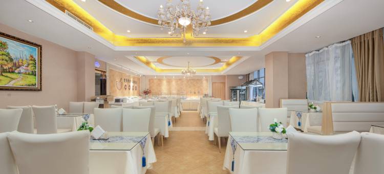 维也纳酒店(新乡胖东来牧野大道店)图片