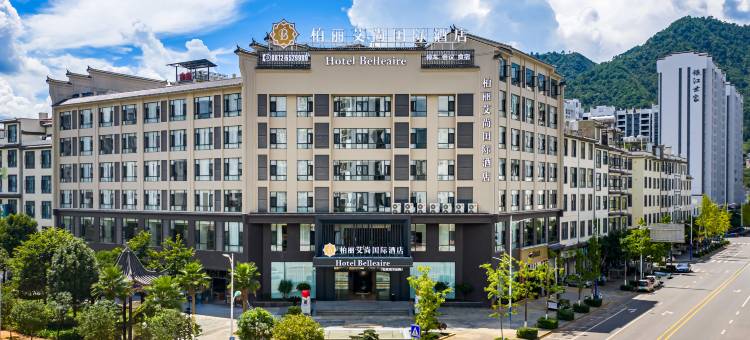 柏丽艾尚国际酒店(永平店)图片