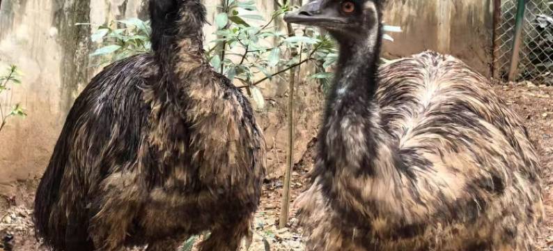 个旧柏悦酒店(金湖公园店)图片