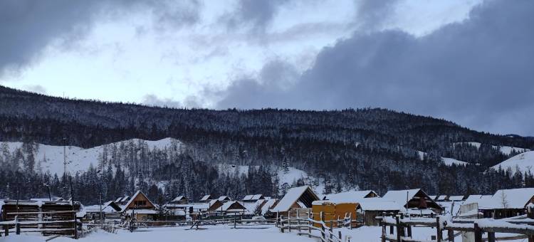 俩棵花楸Meeting·度假民宿图片
