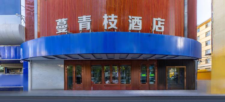 西宁蔓青枝酒店(西宁力盟步行街省博物馆店)图片