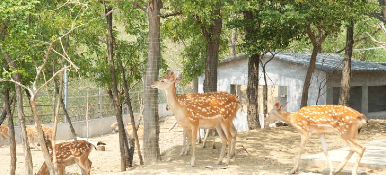 花筑·淄博康昊生态酒店图片