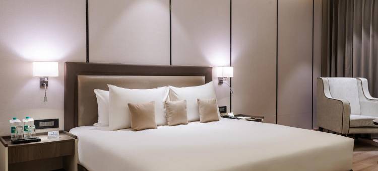 Udman酒店及度假村NH-8(Udman Hotels and Resorts NH 8)图片