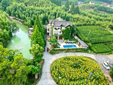 游子山居度假别墅图片