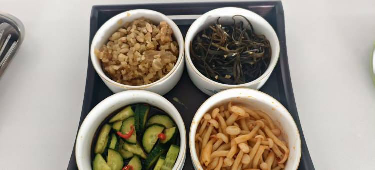 喀喇沁旗云朵酒店(赤峰机场店)图片