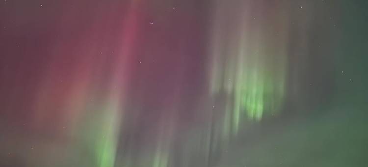Astra Whale——罗弗敦群岛海滨精品青年旅舍(Astra Whale - Waterfront Boutique Hostel, Lofoten)图片