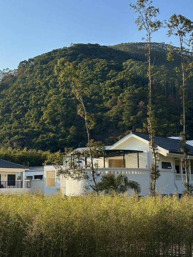 西坡惠州：山林间的白色客房建筑