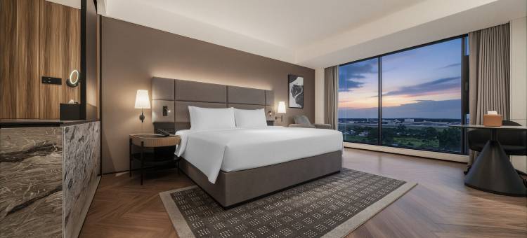 万象城际酒店(华住会旗下品牌)(Intercity Hotel Vientiane, A H WORLD hotel)图片