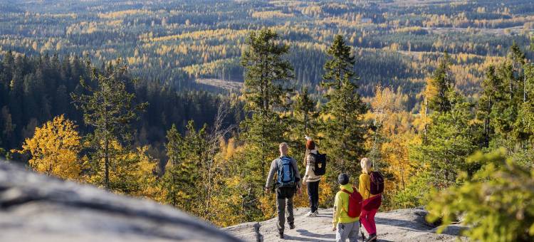 断裂索科斯酒店科利村(Break Sokos Hotel Koli Kyla)图片