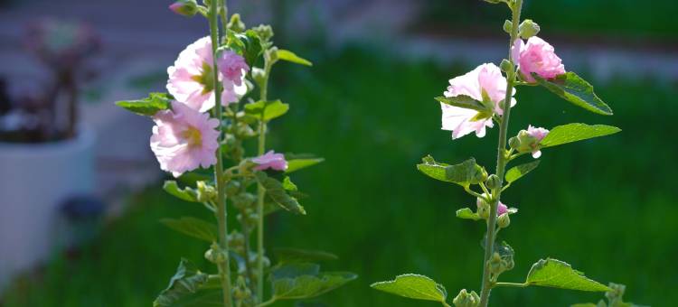 千幕轩精品客栈图片