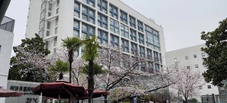 上海同济大学干训楼图片
