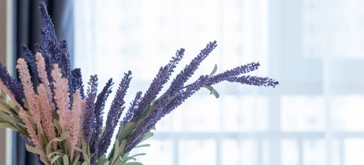 麗枫酒店(临沂广州路店)图片