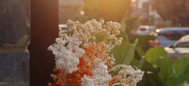 望舒民宿(建水古城朝阳楼店)图片