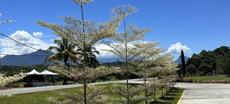 Wendu Inn Hotel, Kota Belud图片