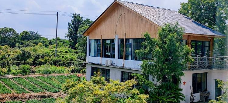 庐山观山宿图片