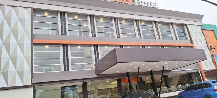 城市酒店(City Hotel)图片