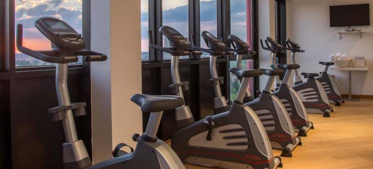 塔博洛尼亚贝斯特韦斯特优质酒店(Best Western Plus Tower Hotel Bologna)图片