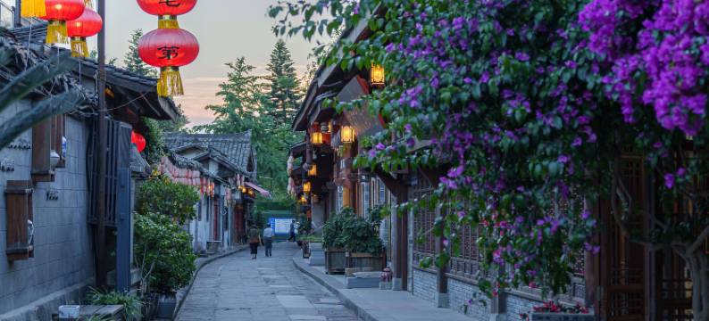 阆中庞门书院民宿图片