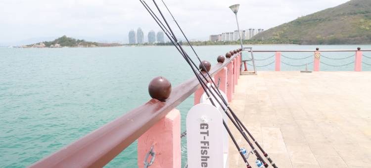 三亚鹿回头国宾馆图片