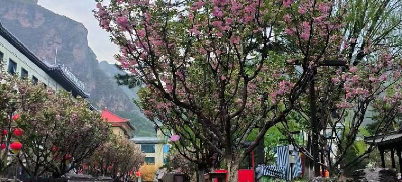 北京龙庆山水国际度假酒店(龙庆峡景区店)图片