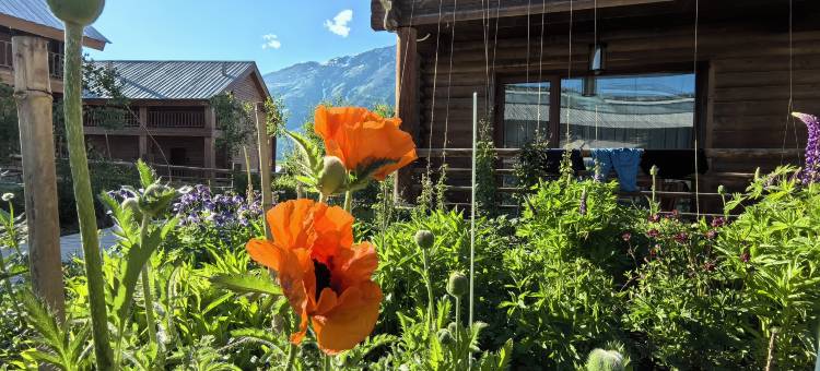 布尔津禾木桃源民宿图片