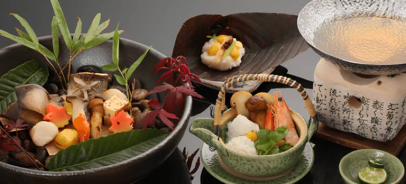 卡瓦卡米亚旅馆(Kawakamiya Kasuitei)图片