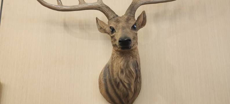 楠舍栖酒店图片