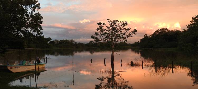 Caño Negro Country Lodge图片