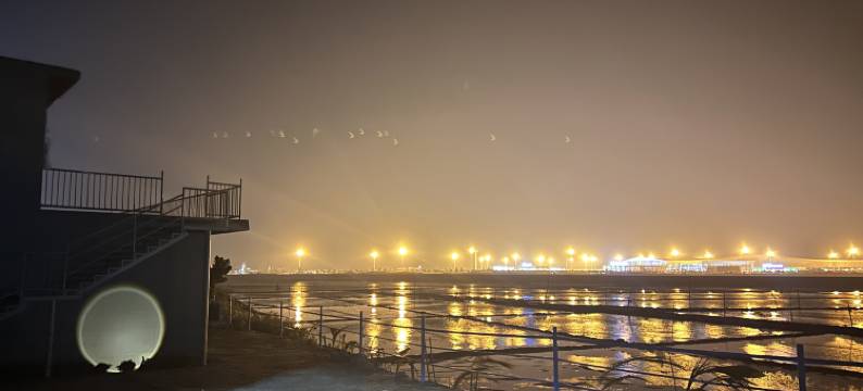 徐闻升亚湾民宿 (徐闻港店)图片