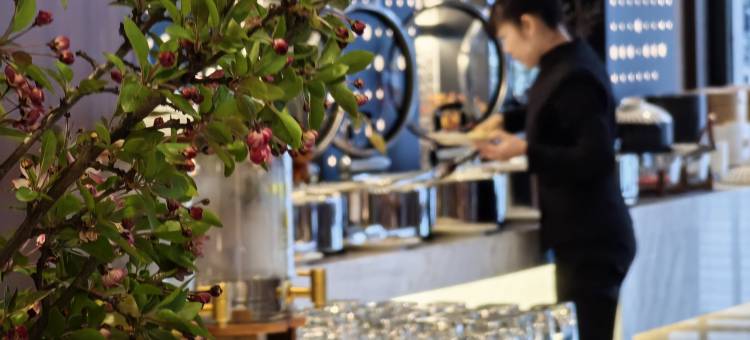 大隐西城明珠酒店图片